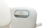 BOSSCARE SI619 Lite Wellness Chair